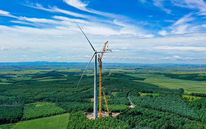 0ef62974c2a544bbb4ff403d02f5f20d