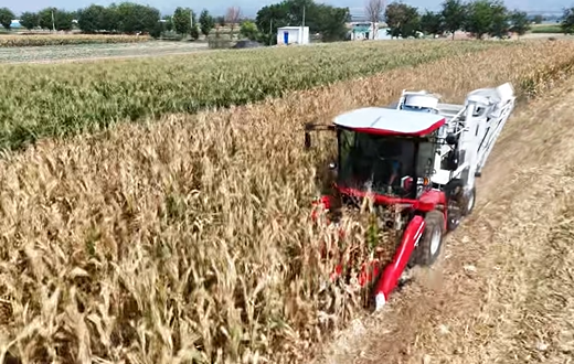 首页- Z6官网中国区人生就是博